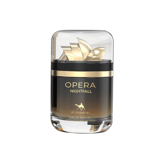 LE CHAMEAU OPERA NIGHTFALL MEN 3.4 OZ EDP SP
