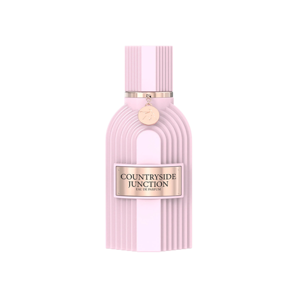 LECHAMEAU COUNTRYSIDE JUNCTION MEN 3.4 OZ EDP SP