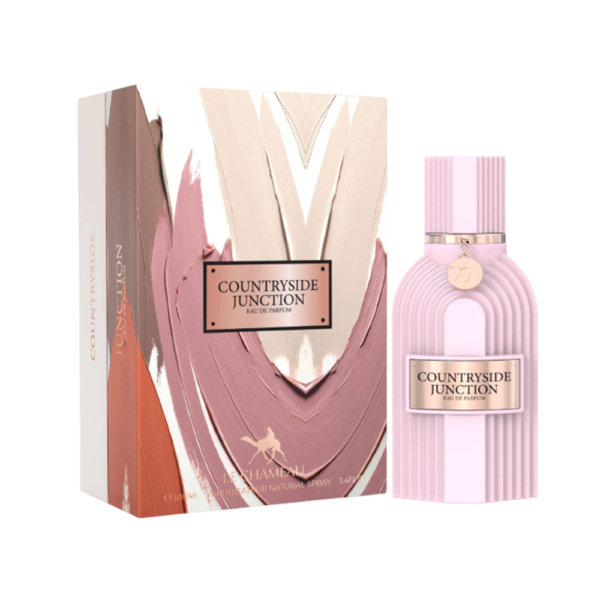 LECHAMEAU COUNTRYSIDE JUNCTION MEN 3.4 OZ EDP SP