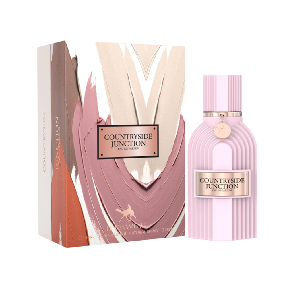 LECHAMEAU COUNTRYSIDE JUNCTION MEN 3.4 OZ EDP SP