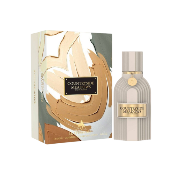 LECHAMEAU COUNTRYSIDE MEADOWS MEN 3.4 OZ EDP SP