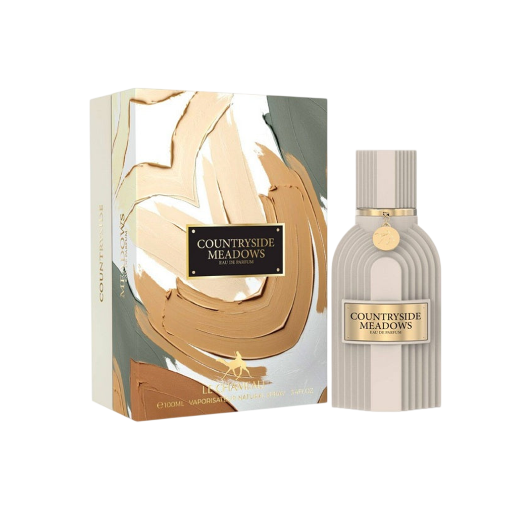 LECHAMEAU COUNTRYSIDE MEADOWS MEN 3.4 OZ EDP SP